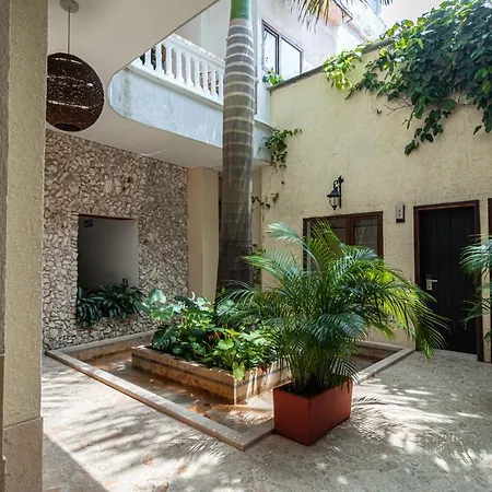 Hotel Soy Local Insignia 4*