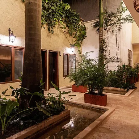 Soy Local Insignia 4* Cartagena