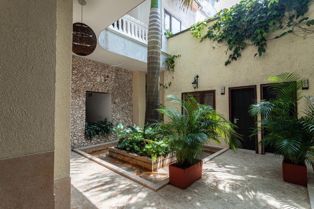 Hotel Soy Local Insignia 4*